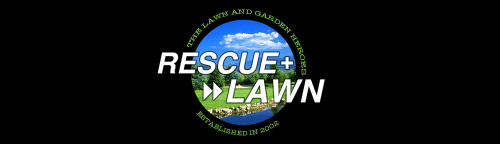 Rescue Lawn Care In Wadsworth, Ohio. Trusted since 2002